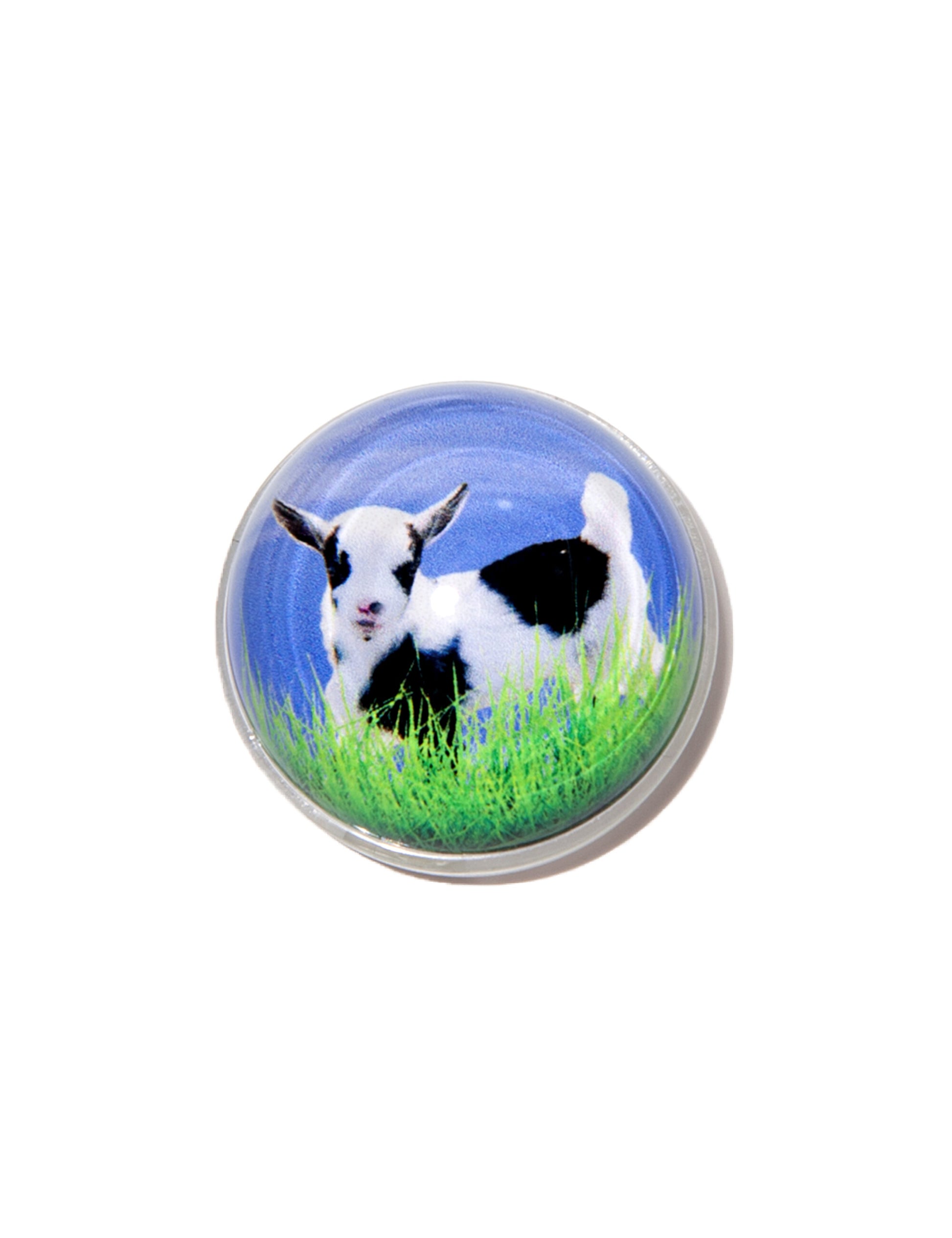 huggingoat-seasonless-baby-goat-glass-ball-griptok