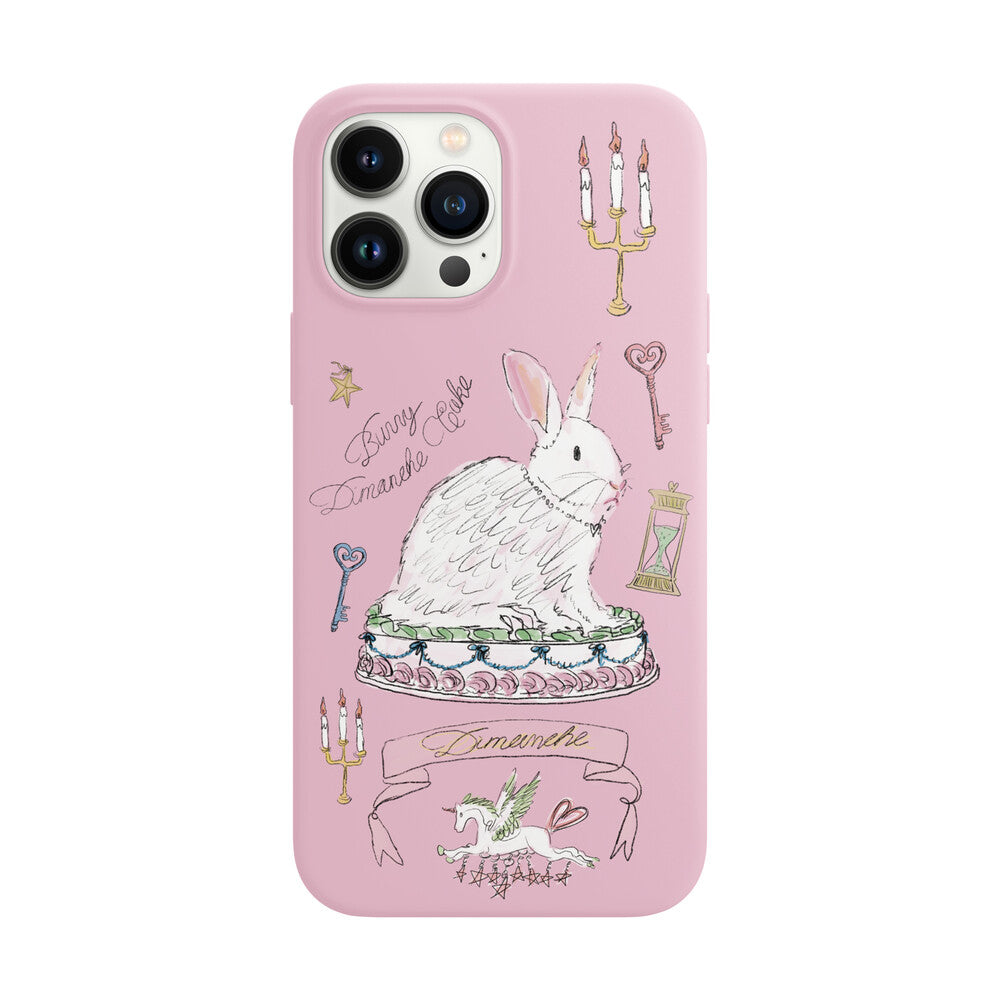 dimanche-seasonless-pink-bunny-cake-case